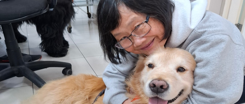 Banner Terapia Cão Carinho