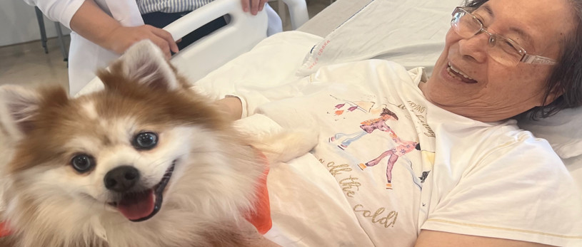 Banner Terapia Cão Carinho