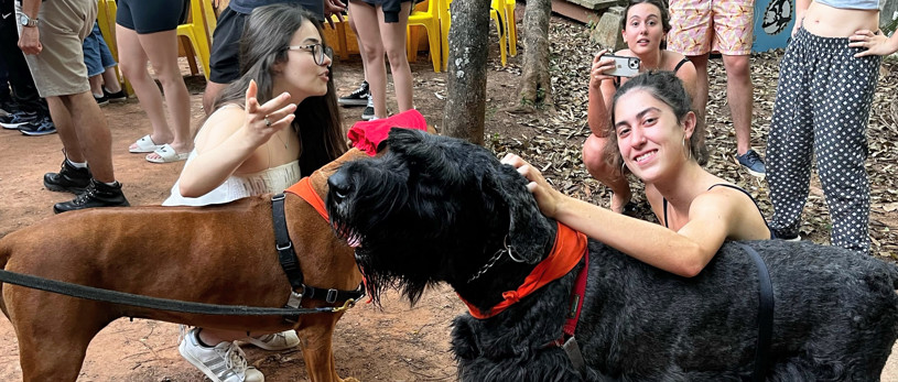 Banner Terapia Cão Carinho