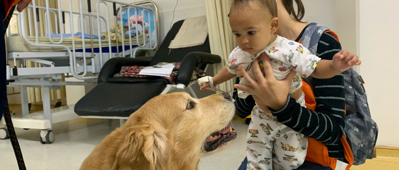 Banner Terapia Cão Carinho
