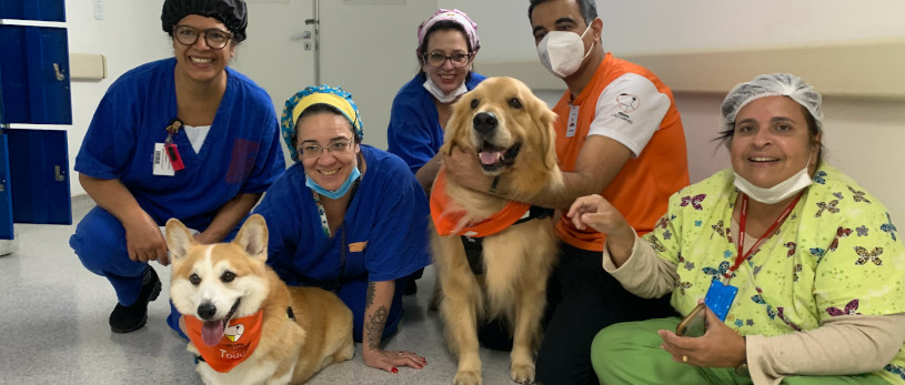 Banner Terapia Cão Carinho