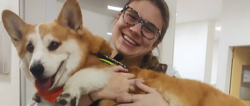 Banner Terapia Cão Carinho