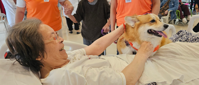 Banner Terapia Cão Carinho