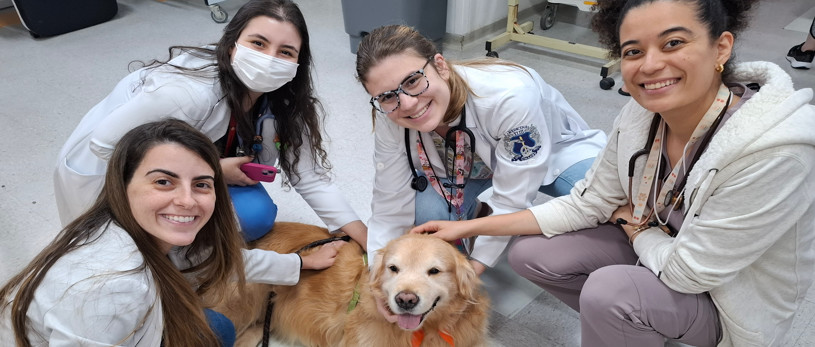 Banner Terapia Cão Carinho