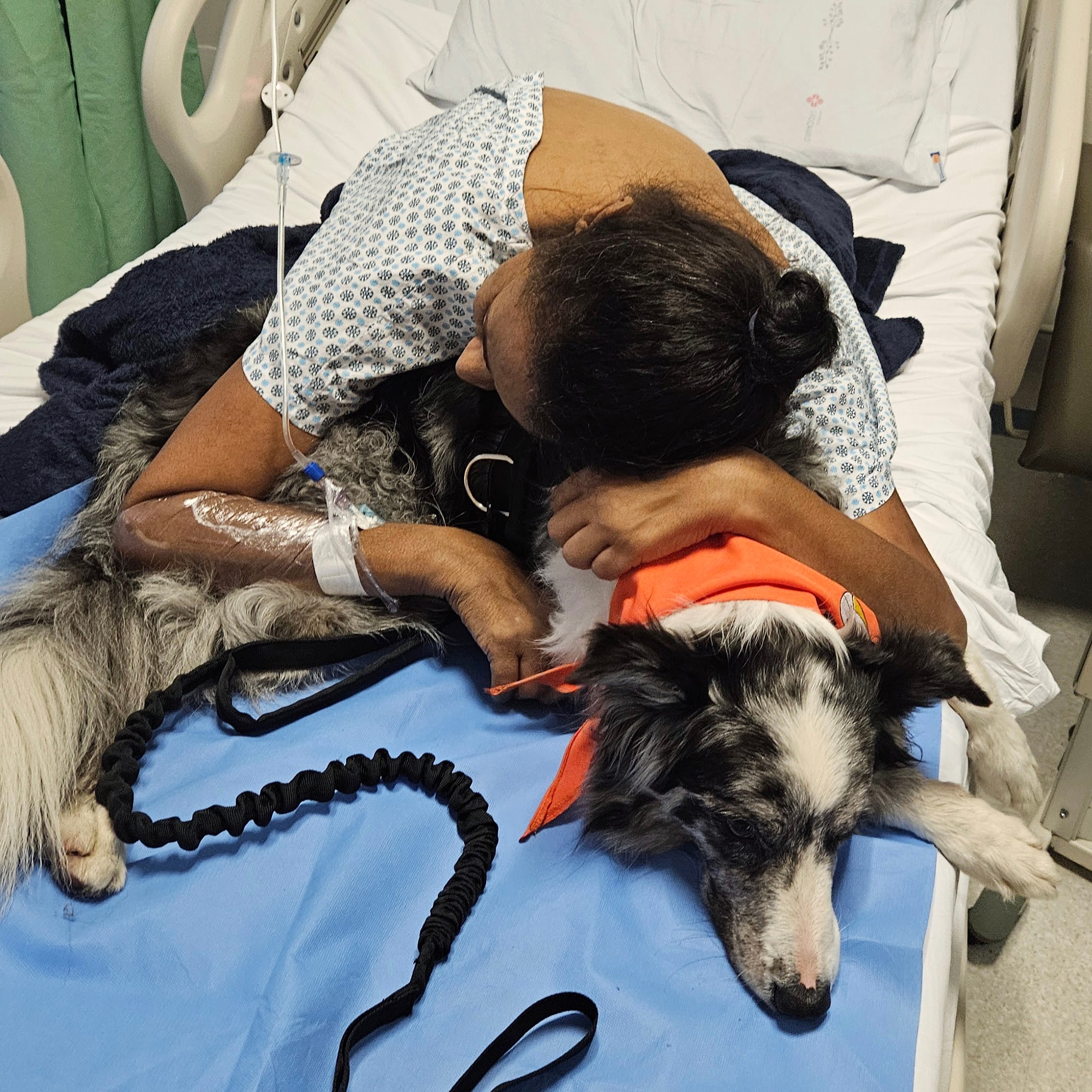 Paciente Terapia Cão Carinho