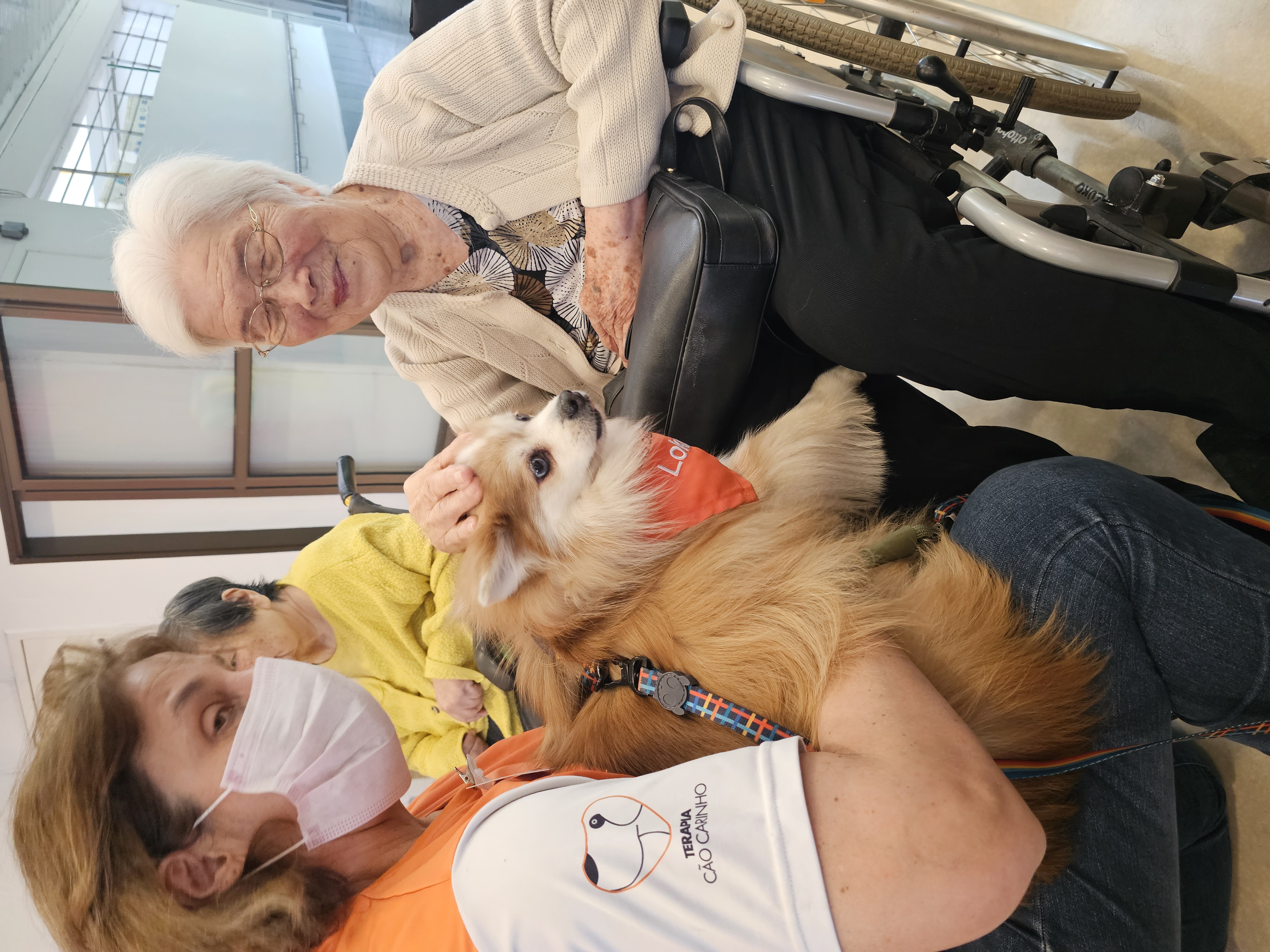 Paciente Terapia Cão Carinho
