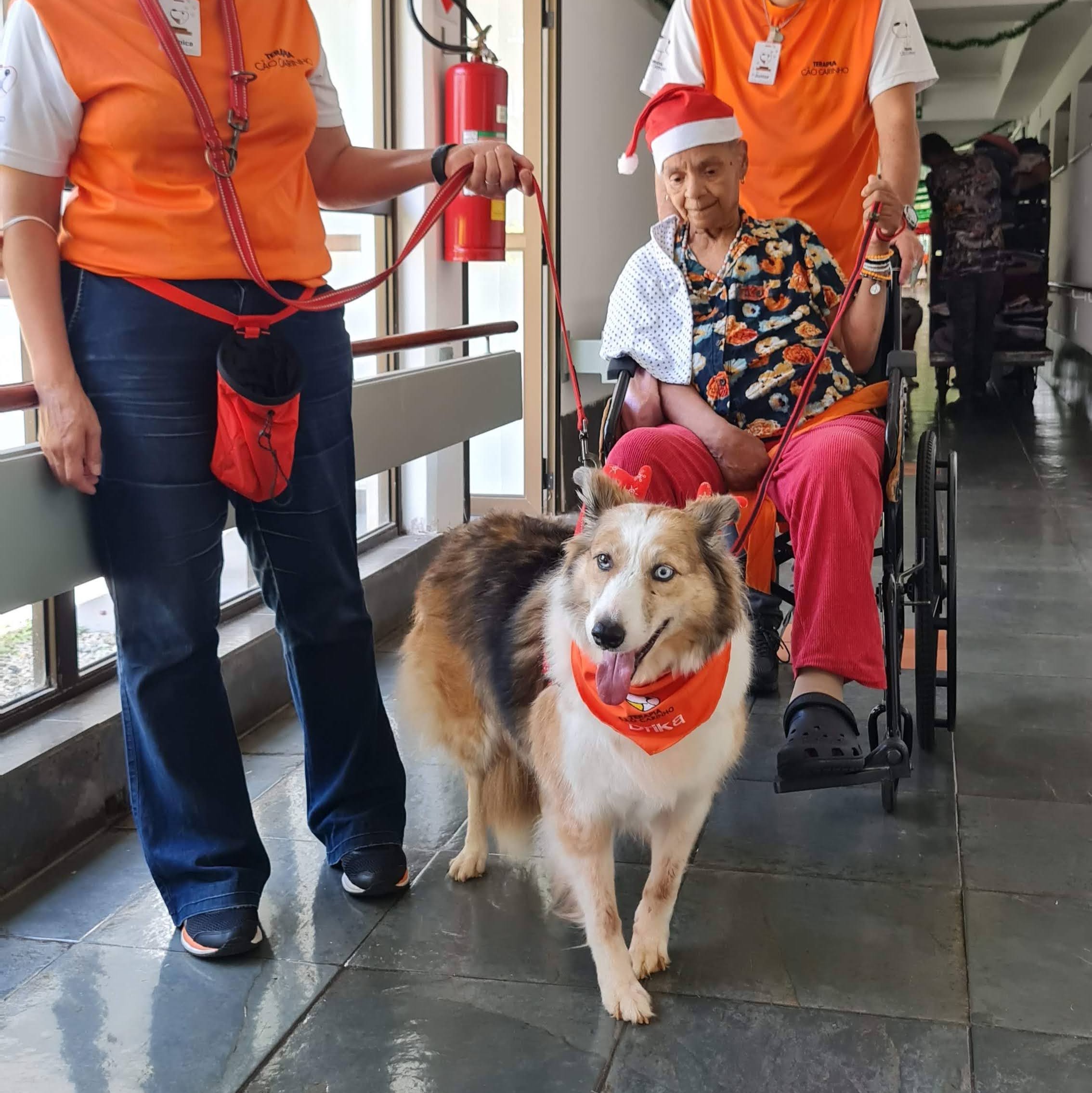 Paciente Terapia Cão Carinho